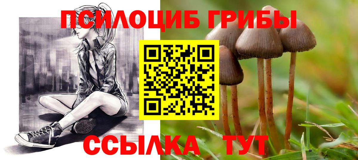 Галлюциногенные грибы Magic Shrooms Строитель